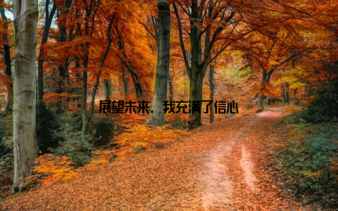 展望未来, 我充满了信心