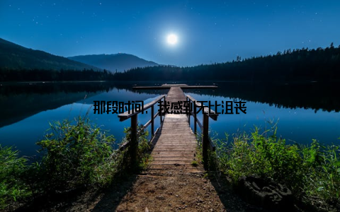 那段时间, 我感到无比沮丧