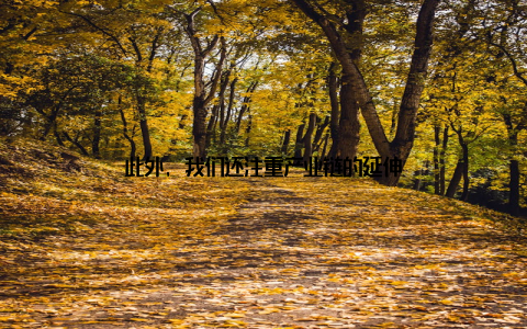 此外, 我们还注重产业链的延伸