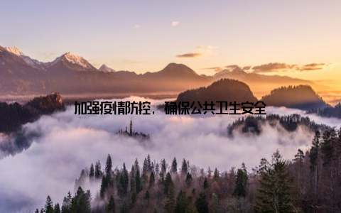 加强疫情防控, 确保公共卫生安全
