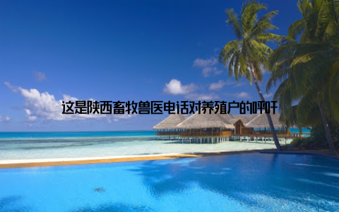 这是陕西畜牧兽医电话对养殖户的呼吁