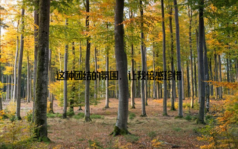 这种团结的氛围, 让我倍感珍惜