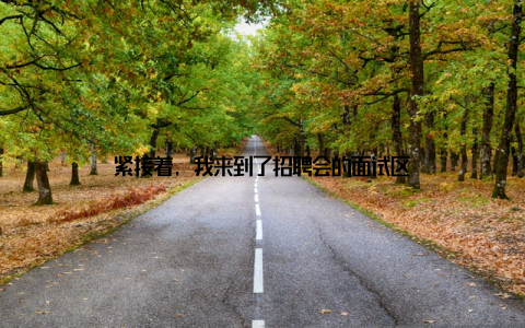 紧接着, 我来到了招聘会的面试区