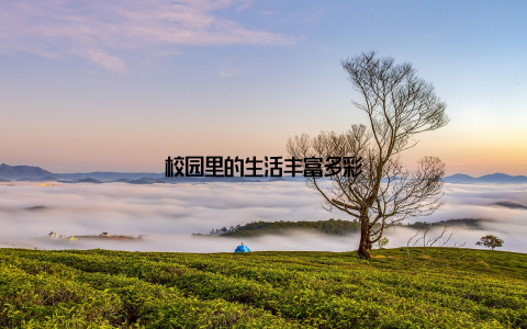 校园里的生活丰富多彩