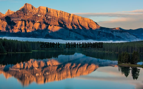 2品牌化、连锁化趋势明显