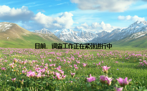 目前, 调查工作正在紧张进行中