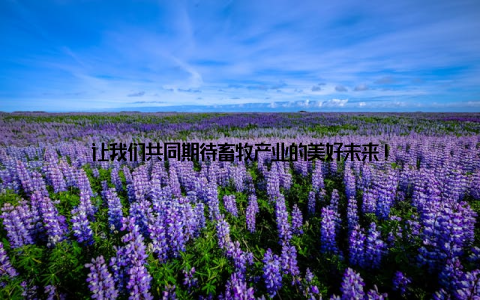 让我们共同期待畜牧产业的美好未来!