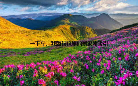 一下车, 我就被这里的景象所吸引