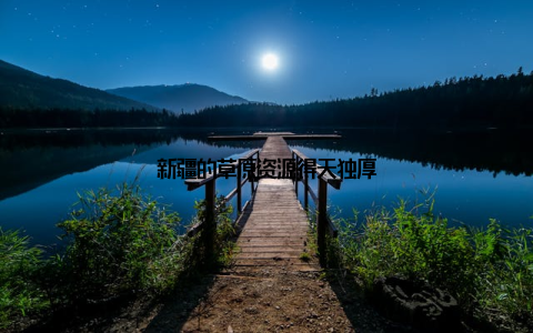 新疆的草原资源得天独厚