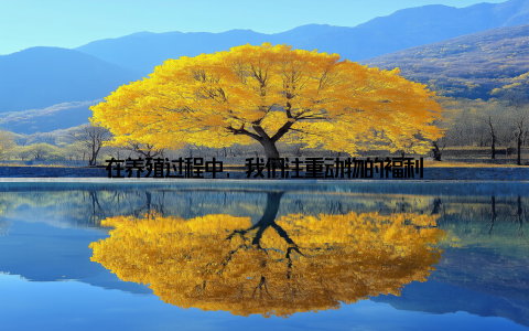 在养殖过程中, 我们注重动物的福利