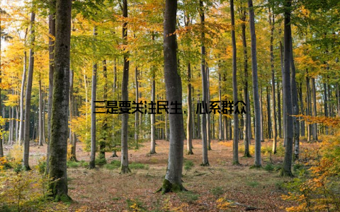 三是要关注民生, 心系群众