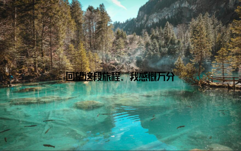 回望这段旅程, 我感慨万分