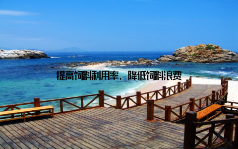 提高饲料利用率, 降低饲料浪费