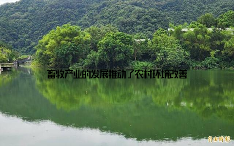 畜牧产业的发展推动了农村环境改善