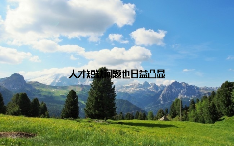 人才短缺问题也日益凸显