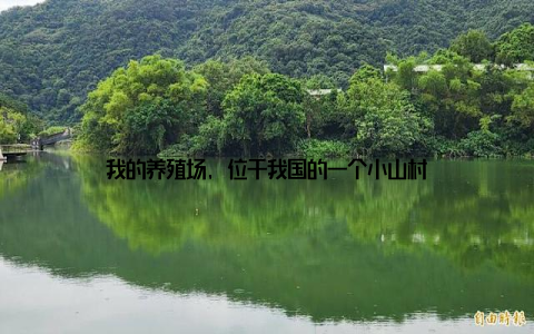 我的养殖场, 位于我国的一个小山村