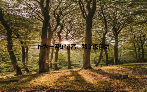 作为一名见证者, 我深感自豪