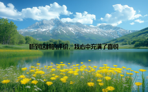 听到这样的评价, 我心中充满了喜悦