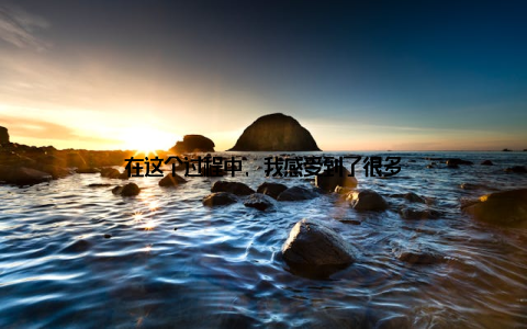 在这个过程中, 我感受到了很多