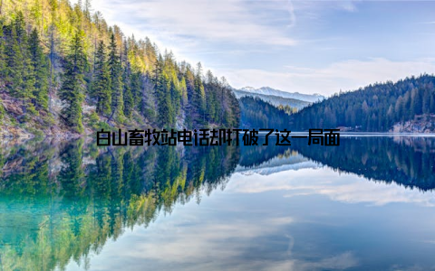 白山畜牧站电话却打破了这一局面