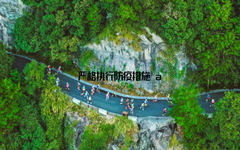 严格执行防疫措施 a