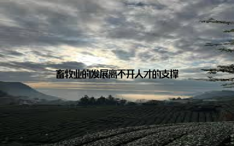 畜牧业的发展离不开人才的支撑