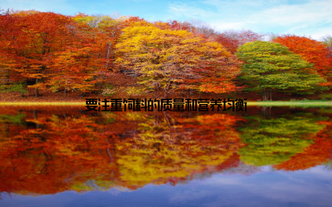 要注重饲料的质量和营养均衡