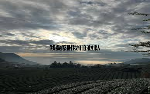 我要感谢我们的团队