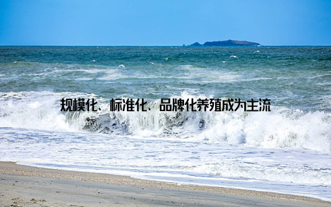 规模化、标准化、品牌化养殖成为主流