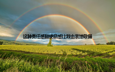 这种责任感和使命感让我由衷地敬佩