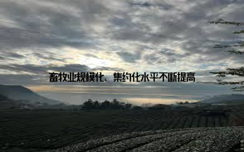 畜牧业规模化、集约化水平不断提高