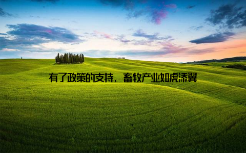 有了政策的支持, 畜牧产业如虎添翼