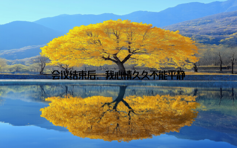 会议结束后, 我心情久久不能平静