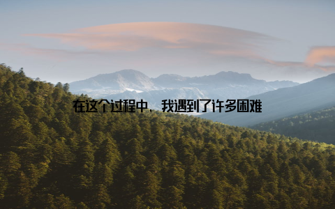 在这个过程中, 我遇到了许多困难