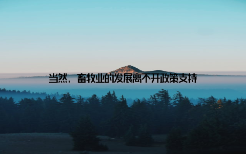 当然, 畜牧业的发展离不开政策支持