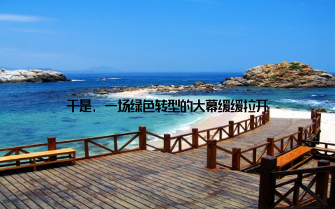 于是, 一场绿色转型的大幕缓缓拉开