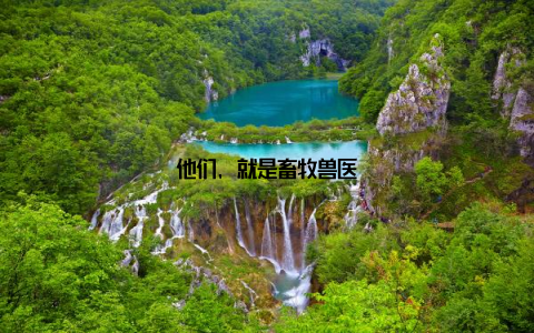 他们, 就是畜牧兽医