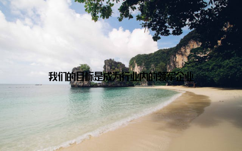 我们的目标是成为行业内的领军企业