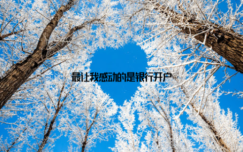 最让我感动的是银行开户