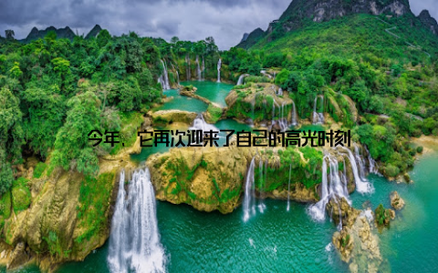 今年, 它再次迎来了自己的高光时刻