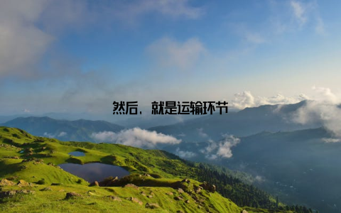 然后, 就是运输环节