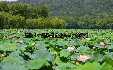 品牌实力品牌是企业竞争力的象征