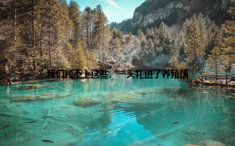 我们顾不上这些, 一头扎进了养殖场