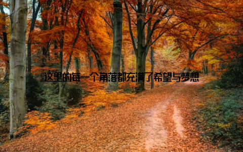 这里的每一个角落都充满了希望与梦想