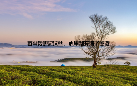 每当我想起这些, 心里都充满了感激