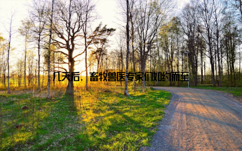 几天后, 畜牧兽医专家们如约而至