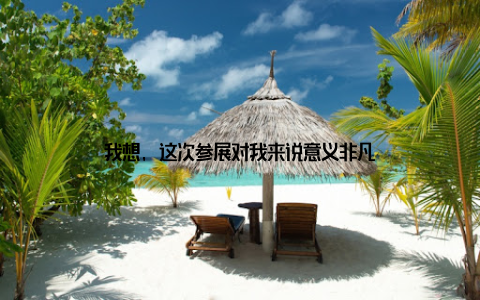 我想, 这次参展对我来说意义非凡