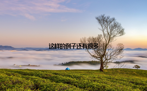 这样的例子还有很多