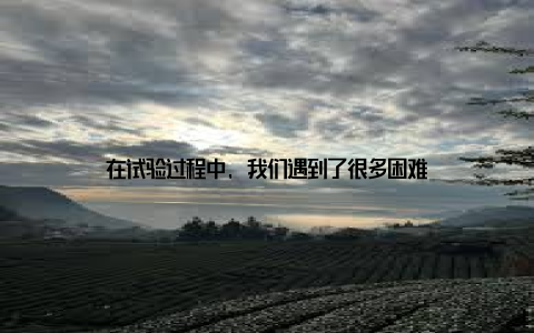 在试验过程中, 我们遇到了很多困难