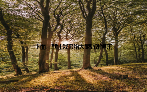 下面, 就让我来给大家娓娓道来